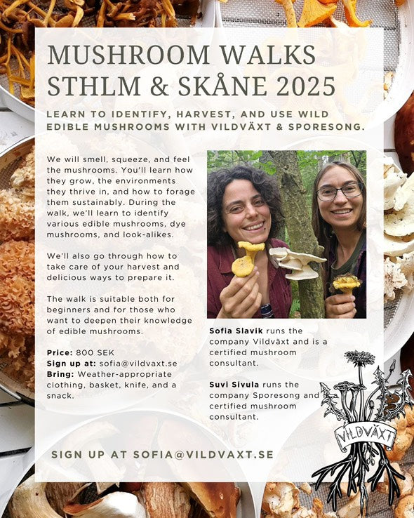 🌿 Mushroom Walk – Sthlm and Skåne (Next date 31st of August)