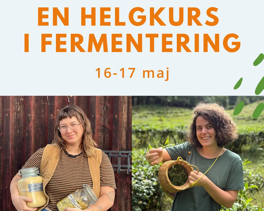 Fermentation Weekend at Långbro Gård - 16th & 17th of May