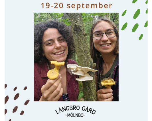 Edible mushrooms - a weekend workshop with Vildväxt and Sporesong, 19-20th sept