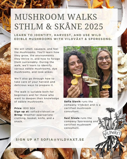 🌿 Mushroom Walk – Sthlm and Skåne (Next date 31st of August)