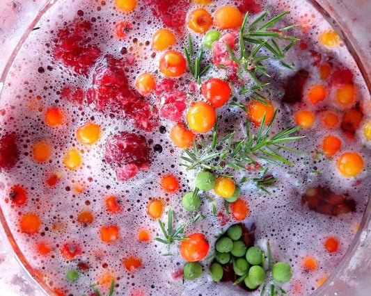 Lactic Fermentation Workshop with Sofia from Vildväxt 🌱 1st and 8th of september