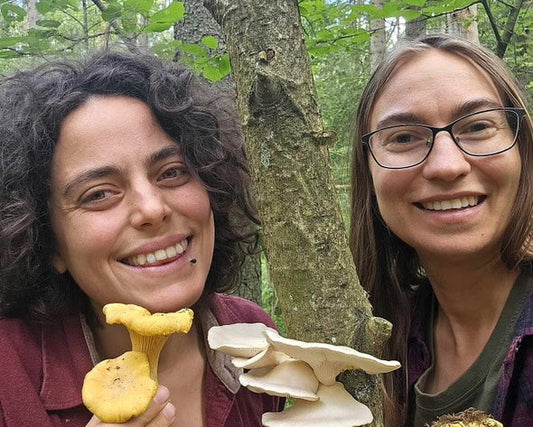 🌿 Mushroom Walk – Sthlm and Skåne (Next date 31st of August)